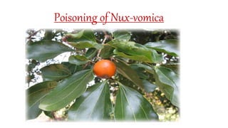 Poisoning of Nux-vomica
 