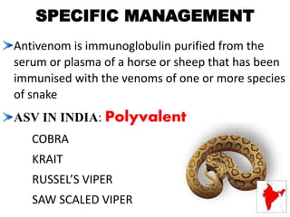 SPECIFIC MANAGEMENT
Antivenom is immunoglobulin purified from the
serum or plasma of a horse or sheep that has been
immunised with the venoms of one or more species
of snake
ASV IN INDIA: Polyvalent
COBRA
KRAIT
RUSSEL’S VIPER
SAW SCALED VIPER
 