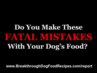 Do You Make These FATAL   MISTAKES With Your Dog’s Food?  