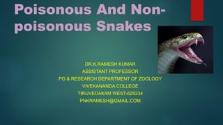 Poisonous And Non-
poisonous Snakes
DR.K.RAMESH KUMAR
ASSISTANT PROFESSOR
PG & RESEARCH DEPARTMENT OF ZOOLOGY
VIVEKANANDA COLLEGE
TIRUVEDAKAM WEST-625234
PNKRAMESH@GMAIL.COM
 