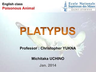 English class

Poisonous Animal

Professor : Christopher YUKNA
Michitaka UCHINO
Jan. 2014

 