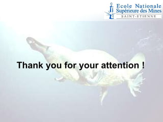 Thank you for your attention !

 