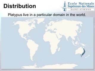 Distribution
Platypus live in a particular domain in the world.

 