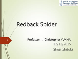 Redback Spider
12/11/2015
Shuji Ishitobi
1 Professor ： Christopher YUKNA
 