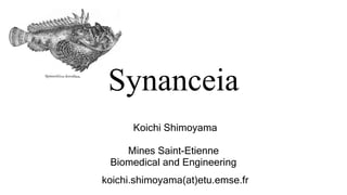 Koichi Shimoyama
Mines Saint-Etienne
Biomedical and Engineering
koichi.shimoyama(at)etu.emse.fr
Synanceia
 