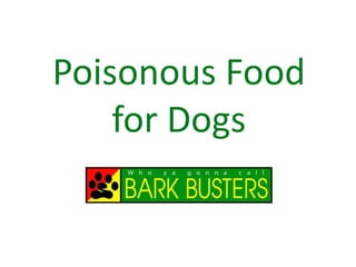 Poisonous Food
for Dogs
 