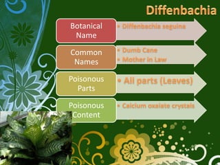 Botanical
 Name

Common
 Names

Poisonous
  Parts

Poisonous
 Content
 