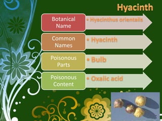 Botanical
 Name

Common
 Names

Poisonous
  Parts

Poisonous
 Content
 