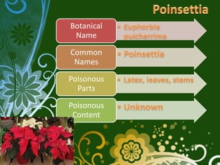 Botanical
 Name

Common
 Names

Poisonous
  Parts

Poisonous
 Content
 