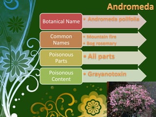 Botanical Name

  Common
   Names

  Poisonous
    Parts

  Poisonous
   Content
 
