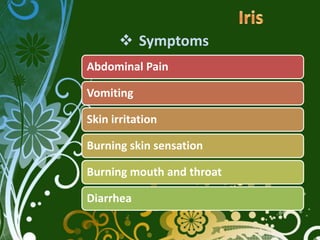 Symptoms
Abdominal Pain

Vomiting

Skin irritation

Burning skin sensation

Burning mouth and throat

Diarrhea
 