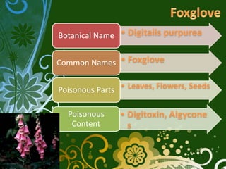 Botanical Name


Common Names


Poisonous Parts

  Poisonous
   Content
 