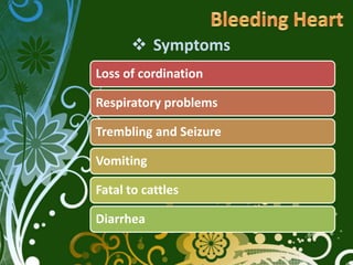  Symptoms
Loss of cordination

Respiratory problems

Trembling and Seizure

Vomiting

Fatal to cattles

Diarrhea
 