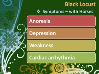  Symptoms – with Horses
Anorexia

Depression

Weakness

Cardiac arrhythmia
 