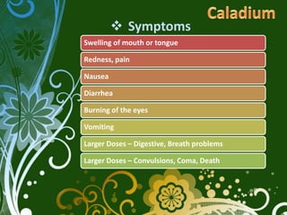  Symptoms
Swelling of mouth or tongue

Redness, pain

Nausea

Diarrhea

Burning of the eyes

Vomiting

Larger Doses – Digestive, Breath problems

Larger Doses – Convulsions, Coma, Death
 