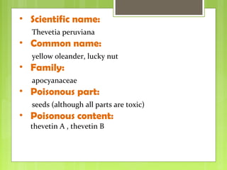 Vendenum Poisonous plants | PPT