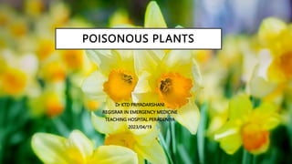 POISONOUS PLANTS
Dr KTD PRIYADARSHANI
REGISRAR IN EMERGENCY MEDICINE
TEACHING HOSPITAL PERADENIYA
2023/04/19
 