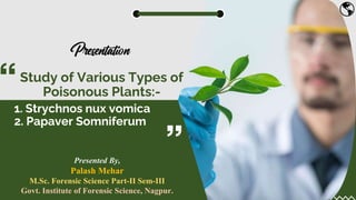Study of Various Types of
Poisonous Plants:-
1. Strychnos nux vomica
2. Papaver Somniferum
Presented By,
Palash Mehar
M.Sc. Forensic Science Part-II Sem-III
Govt. Institute of Forensic Science, Nagpur.
 