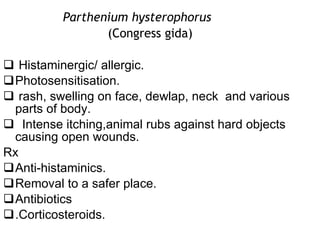 Poisonous plants of vety importance | PPT