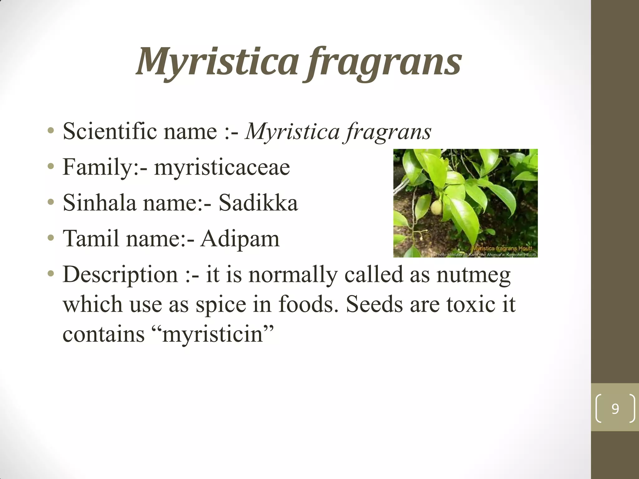 Poisonous plants in Sri Lanka | PDF