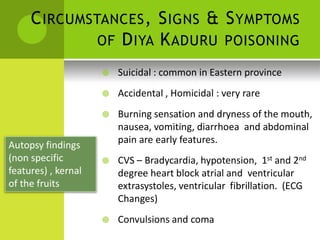 CIRCUMSTANCES, SIGNS & SYMPTOMS 
OF DIYA KADURU POISONING 
Autopsy findings (non specific features) , kernal of the fruits 
 Suicidal : common in Eastern province 
 Accidental , Homicidal : very rare 
 Burning sensation and dryness of the mouth, nausea, vomiting, diarrhoea and abdominal pain are early features. 
 CVS – Bradycardia, hypotension, 1st and 2nd degree heart block atrial and ventricular extrasystoles, ventricular fibrillation. (ECG Changes) 
 Convulsions and coma  