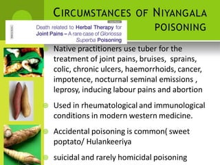 CIRCUMSTANCES OF NIYANGALA 
POISONING 
 Native practitioners use tuber for the treatment of joint pains, bruises, sprains, colic, chronic ulcers, haemorrhoids, cancer, impotence, nocturnal seminal emissions , leprosy, inducing labour pains and abortion 
 Used in rheumatological and immunological conditions in modern western medicine. 
 Accidental poisoning is common( sweet 
poptato/ Hulankeeriya 
 suicidal and rarely homicidal poisoning  