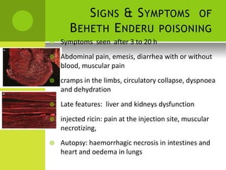 BEHETH 
ENDERU POISONING 
SIGNS & SYMPTOMS OF 
 Symptoms seen after 3 to 20 h 
 Abdominal pain, emesis, diarrhea with or without 
blood, muscular pain 
 cramps in the limbs, circulatory collapse, dyspnoea and dehydration 
 Late features: liver and kidneys dysfunction 
 injected ricin: pain at the injection site, muscular 
necrotizing, 
 Autopsy: haemorrhagic necrosis in intestines and heart and oedema in lungs  