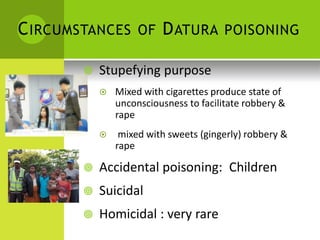 CIRCUMSTANCES OF DATURA POISONING 
 Stupefying purpose 
 Mixed with cigarettes produce state of unconsciousness to facilitate robbery & rape 
 mixed with sweets (gingerly) robbery & 
rape 
 Accidental poisoning: Children 
 Suicidal 
 Homicidal : very rare  