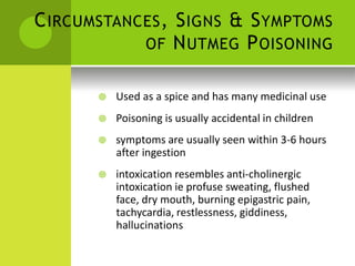 CIRCUMSTANCES, SIGNS & SYMPTOMS 
OF NUTMEG POISONING 
 Used as a spice and has many medicinal use 
 Poisoning is usually accidental in children 
 symptoms are usually seen within 3-6 hours after ingestion 
 intoxication resembles anti-cholinergic intoxication ie profuse sweating, flushed face, dry mouth, burning epigastric pain, tachycardia, restlessness, giddiness, hallucinations  