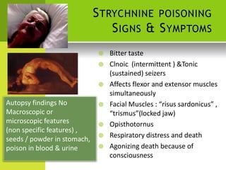 STRYCHNINE POISONING 
SIGNS & SYMPTOMS 
Autopsy findings No Macroscopic or microscopic features (non specific features) , 
seeds / powder in stomach, poison in blood & urine 
 Bitter taste 
 Clnoic (intermittent ) &Tonic 
(sustained) seizers 
 Affects flexor and extensor muscles 
simultaneously 
 Facial Muscles : “risus sardonicus” , 
“trismus”(locked jaw) 
 Opisthotornus 
 Respiratory distress and death 
 Agonizing death because of 
consciousness  