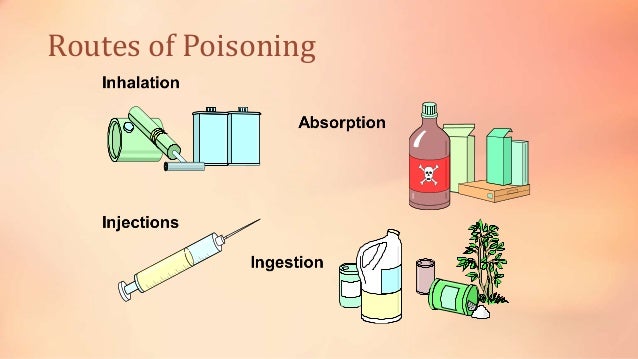 Plant Food Poisoning Plant Food Poisoning