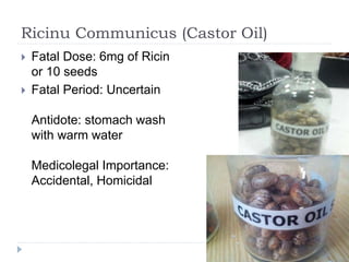 Ricinu Communicus (Castor Oil)
 Fatal Dose: 6mg of Ricin
or 10 seeds
 Fatal Period: Uncertain
Antidote: stomach wash
with warm water
Medicolegal Importance:
Accidental, Homicidal
 