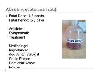 Abrus Precatorius (rati)
 Fatal Dose: 1-2 seeds
Fatal Period: 3-5 days
Antidote:
Symptomatic
Treatment
Medicolegal
Importance:
Accidental Suicidal
Cattle Poison
Homicidal Arrow
Poison
 