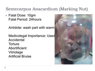Semecarpus Anacardium (Marking Nut)
 Fatal Dose: 10gm
Fatal Period: 24hours
Antidote: wash part with warm water
Medicolegal Importance: Used by dhobis
Accidental
Torture
Abortificient
Vitriolage
Artificial Bruise
 