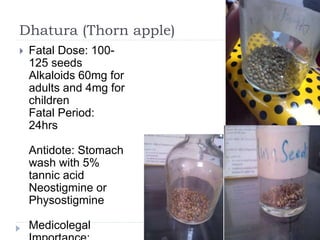 Dhatura (Thorn apple)
 Fatal Dose: 100-
125 seeds
Alkaloids 60mg for
adults and 4mg for
children
Fatal Period:
24hrs
Antidote: Stomach
wash with 5%
tannic acid
Neostigmine or
Physostigmine
Medicolegal
 