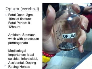 Opium (cerebral)
 Fatal Dose: 2gm,
10ml of tincture
Fatal Period: 9-
12hours
Antidote: Stomach
wash with potassium
permaganate
Medicolegal
Importance: Ideal
suicidal, Infanticidal,
Accidental, Doping
Racing Horses
 