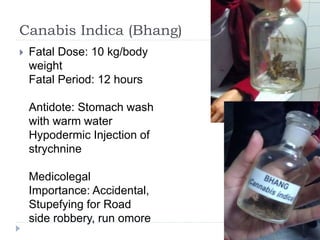 Canabis Indica (Bhang)
 Fatal Dose: 10 kg/body
weight
Fatal Period: 12 hours
Antidote: Stomach wash
with warm water
Hypodermic Injection of
strychnine
Medicolegal
Importance: Accidental,
Stupefying for Road
side robbery, run omore
 