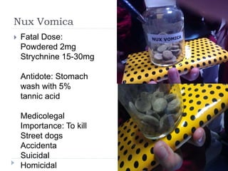 Nux Vomica
 Fatal Dose:
Powdered 2mg
Strychnine 15-30mg
Antidote: Stomach
wash with 5%
tannic acid
Medicolegal
Importance: To kill
Street dogs
Accidenta
Suicidal
Homicidal
 