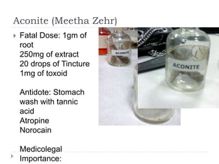 Aconite (Meetha Zehr)
 Fatal Dose: 1gm of
root
250mg of extract
20 drops of Tincture
1mg of toxoid
Antidote: Stomach
wash with tannic
acid
Atropine
Norocain
Medicolegal
Importance:
 