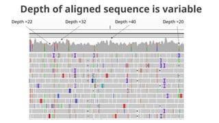 Depth of aligned sequence is variable
Depth =22 Depth =32 Depth =40 Depth =20
 