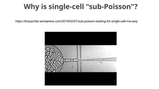 Why is single-cell "sub-Poisson"?
https://liorpachter.wordpress.com/2019/02/07/sub-poisson-loading-for-single-cell-rna-seq/
 