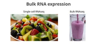 Bulk RNA expression
Single-cell RNAseq Bulk RNAseq
 