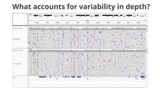 What accounts for variability in depth?
 