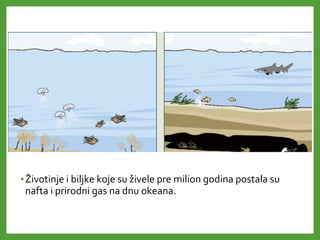 •Životinje i biljke koje su živele pre milion godina postala su
nafta i prirodni gas na dnu okeana.
 