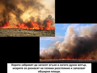 Хората забравят да загасят огъня и когато духне вятър,
искрите се разнасят на големи разстояния и запалват
обширни площи.

 