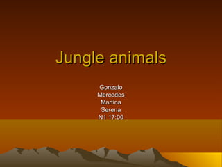 Jungle animals
     Gonzalo
     Mercedes
      Martina
      Serena
     N1 17:00
 