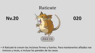 Raticate
• A Raticate le crecen los incisivos firmes y fuertes. Para mantenerlos afilados roe
troncos y rocas, e incluso las paredes de las casas.
 