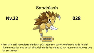 Sandslash
• Sanslash está recubierto de duras púas que son partes endurecidas de la piel.
Suele mudarlas una vez al año; debajo de las viejas púas crecen unas nuevas que
las sustituyen.
 