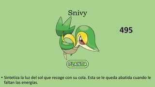 Snivy
• Sintetiza la luz del sol que recoge con su cola. Esta se le queda abatida cuando le
faltan las energías.
 