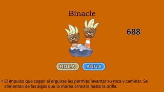 Binacle
• El impulso que cogen al erguirse les permite levantar su roca y caminar. Se
alimentan de las algas que la marea arrastra hasta la orilla.
 